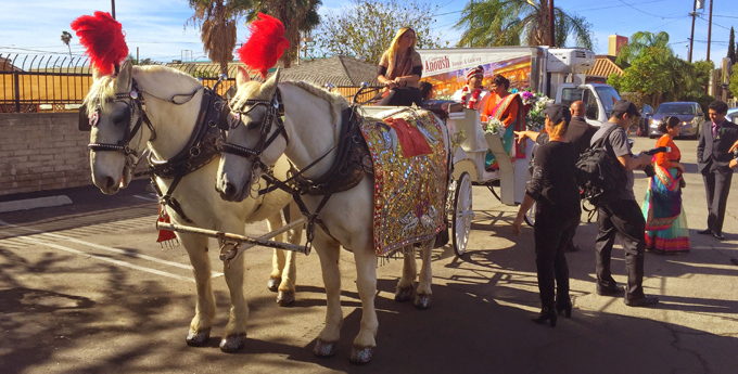 Horse drawn carriage with traditional decoration and colors